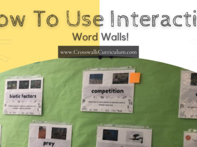 Content area reading skills: The power of word walls + 3 ways to make your word walls interactive!